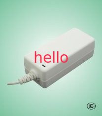 36W Desttop Switching Adapter Power